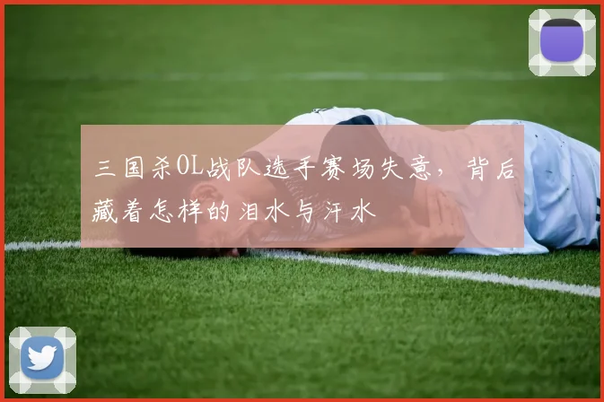 三国杀OL战队选手赛场失意,背后藏着怎样的泪水与汗水