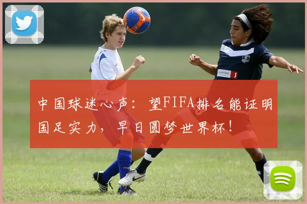 中国球迷心声：望FIFA排名能证明国足实力，早日圆梦世界杯！