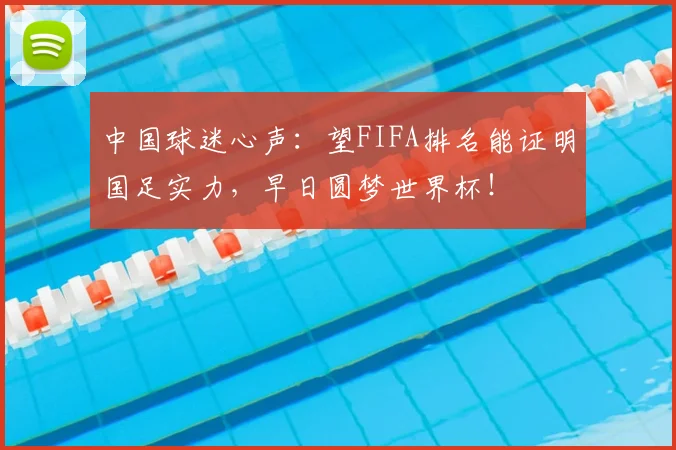 中国球迷心声：望FIFA排名能证明国足实力，早日圆梦世界杯！